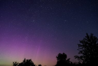 A purple and green aurora over trees at night